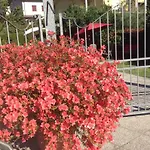 公寓 吉勒托公寓 *