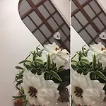 吉勒托公寓 公寓 日科德尔格尔福迪艾斯
