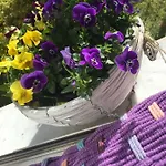 吉勒托公寓 *