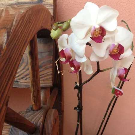 アパート Il Ghiretto *