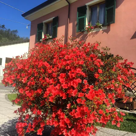 アパート Il Ghiretto