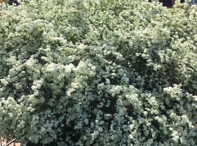 Il Ghiretto Apartment