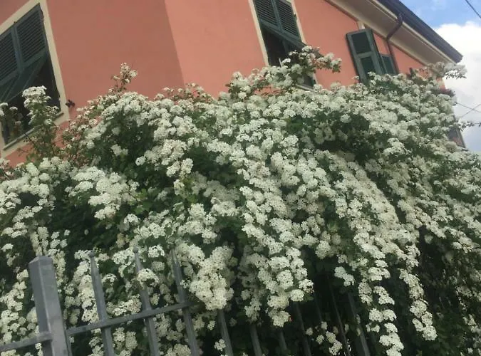 Il Ghiretto *