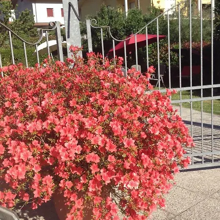 شقة Il Ghiretto *