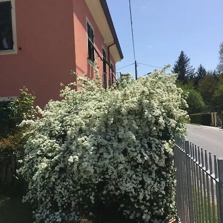 Il Ghiretto Apartament
