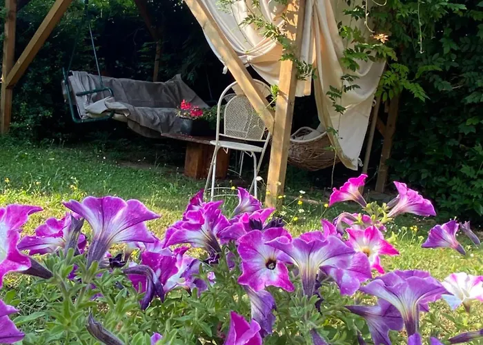 公寓 吉勒托公寓 日科德尔格尔福迪艾斯